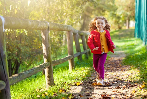 Schattig klein meisje wandelen in het park op een herfstdag. — Stockfoto