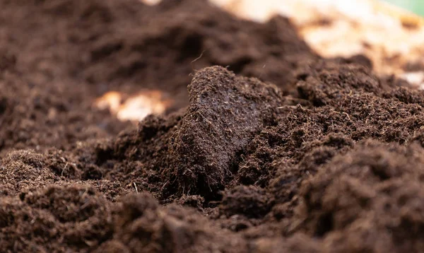 Clean potting soil for cultivation. — Stock Photo, Image