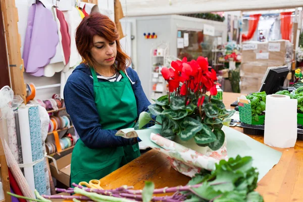 Jovem florista com cabelo vermelho trabalha em um berçário . — Fotografia de Stock