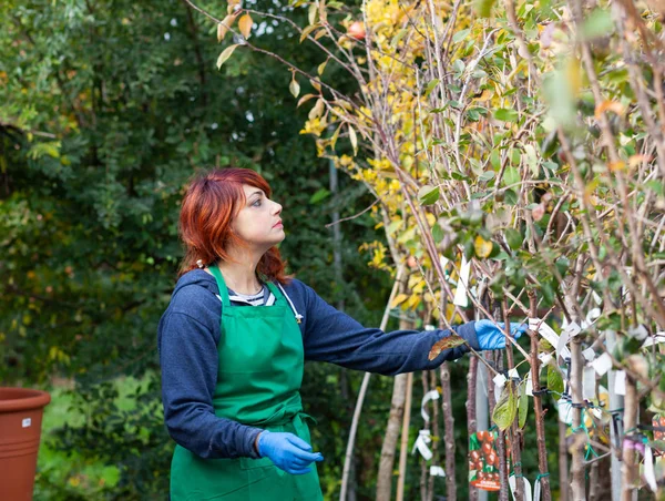 Floristería joven con pelo rojo trabaja en un vivero . — Foto de Stock