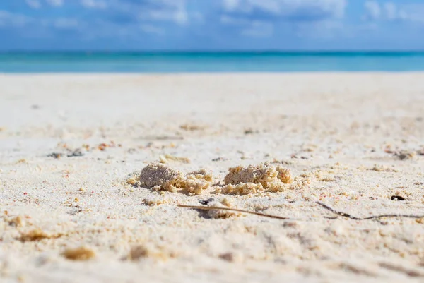 Detalle de la arena blanca y fina de una playa tropical . — Foto de stock gratis