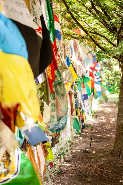 Imola Italië Mei 2020 Het Monument Ter Nagedachtenis Aan Ayrton — Stockfoto