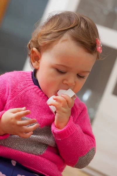 Tout Petit Bebe Fille Met Dans Sa Bouche Des Blocs De Construction En Caoutchouc Chez Moi Batiment Stock Photo Tout Petit Bebe Fille Met Dans Sa Bouche Des Blocs De Construction En Caoutchouc Chez Moi Batiment Stock Photo