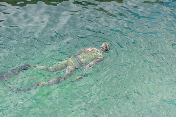 Buceador en traje de buceo de colores en busca de peces bajo el agua en el mar Mediterráneo — Foto de Stock