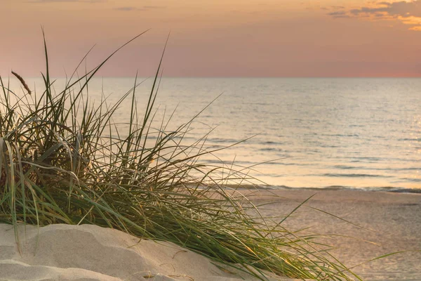 Sunset in sandy beach with sand dunes and grass at sea coast