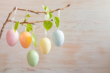Pastel renkli Paskalya yumurtaları eski ahşap arka plandaki ağacın dalında.