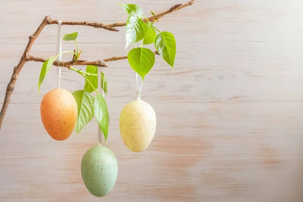 Trois œufs de Pâques de couleur pastel sur branche d'arbre sur fond de bois vintage — Photo