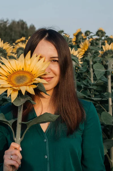 Genç kız yüzünün yarısını bir ayçiçeğiyle kapladı. Ayçiçeği. Kız ayçiçeği tarlasında..