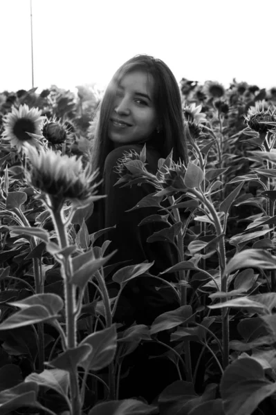 Young Girl Stands Sunflowers Black White Photography Movie — Stock Photo, Image