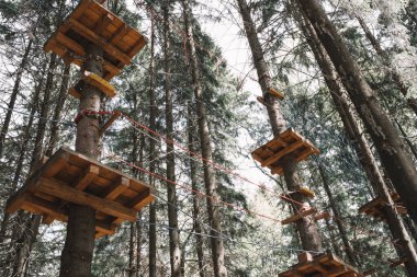 Çam ormanındaki ip parkı. Aktif yaşam tarzı. Engeller kavramı