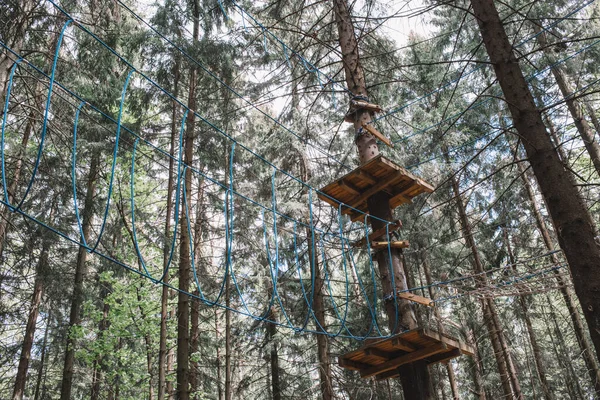 Parque Cuerdas Bosque Pinos Estilo Vida Activo Concepto Obstáculos — Foto de Stock