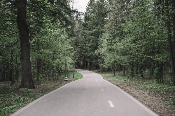 Bisikletçilerin, yayaların, ormandaki koşucuların yolu..