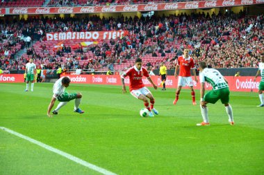 SLB Vs Moreirense, Portekizli futbol ligi
