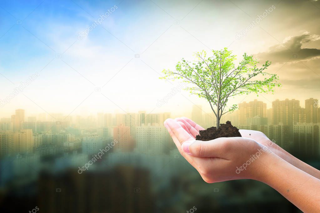 World Habitat Day concept: Human hand holding  tree over city  background