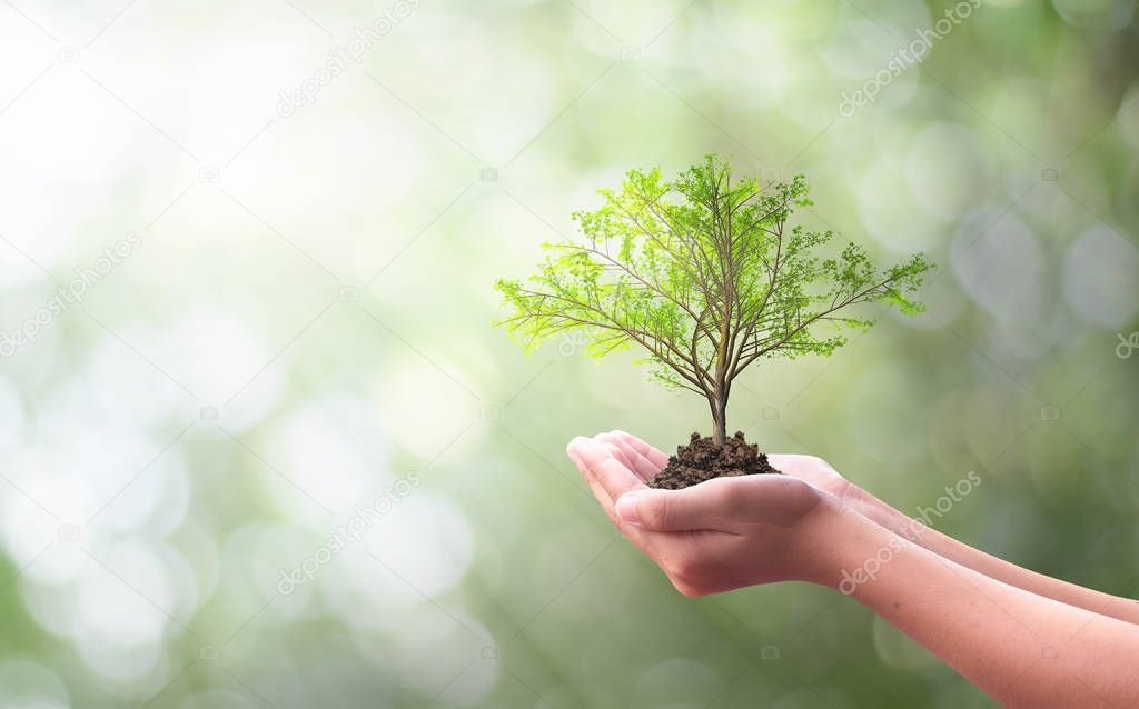 Earth day concept: Human hand holding tree over city background