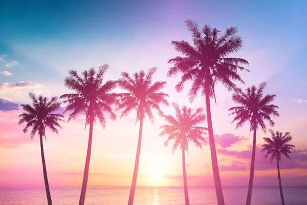 World Tourism Day concept: Silhouettes of coconut trees against the setting sun