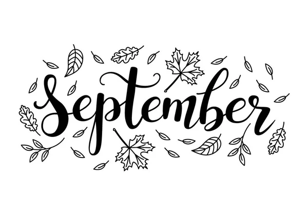 Schattig borstel kalligrafie van de maand van het jaar — Stockvector