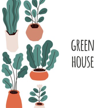 Şirin ev bahçıvanlığı temalı illüstrasyon, tencereye sade bir şekilde çizilmiş el yapımı bitkiler.