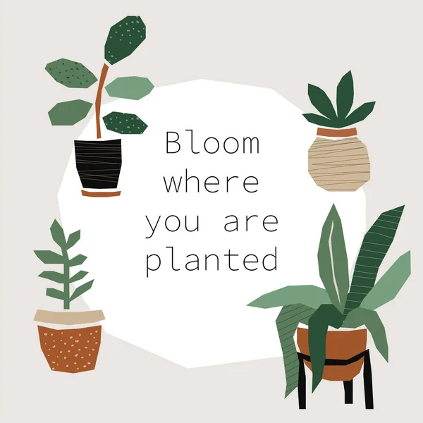 Every day motivation as creative trendy abstract paper cut out collage background with plants in pots for social media templates, neutral colors — 图库矢量图片
