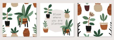 Set of creative trendy abstract paper cut out collage backgrounds with plants in pots for social media templates, neutral colors