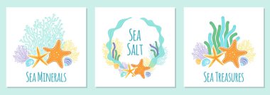 Cute set of banners with hand drawn shells and starfishes