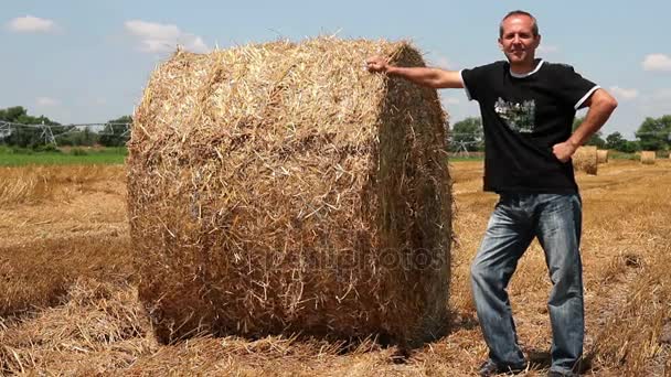 Χαμογελαστός αγρότης ακουμπά στο δέμα σανού στον τομέα της γεωργίας — Αρχείο Βίντεο