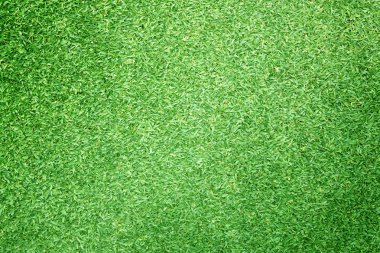 Golf sahaları yeşil çim 