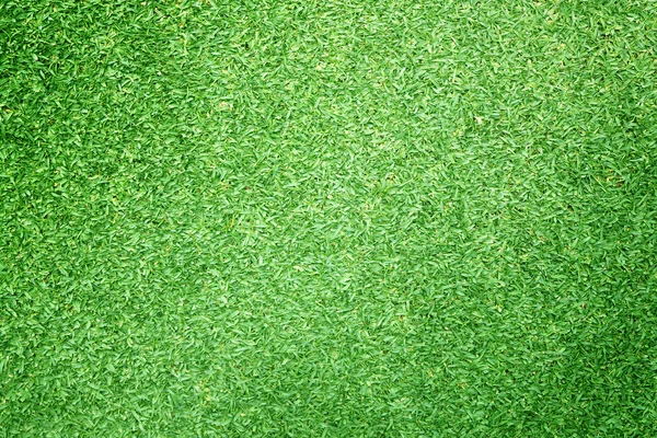 Golf sahaları yeşil çim — Stok fotoğraf