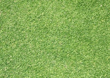 Golf sahaları yeşil çim