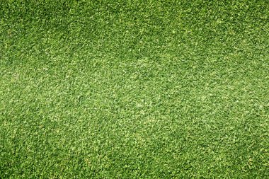 Golf sahaları yeşil çim