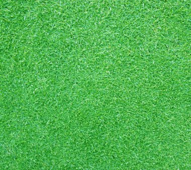 arka plan Golf sahaları yeşil çim çimen