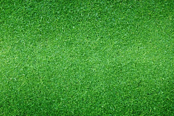 Hierba fondo Campos de golf césped verde — Foto de Stock