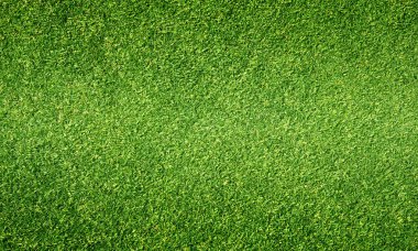 arka plan Golf sahaları yeşil çim çimen