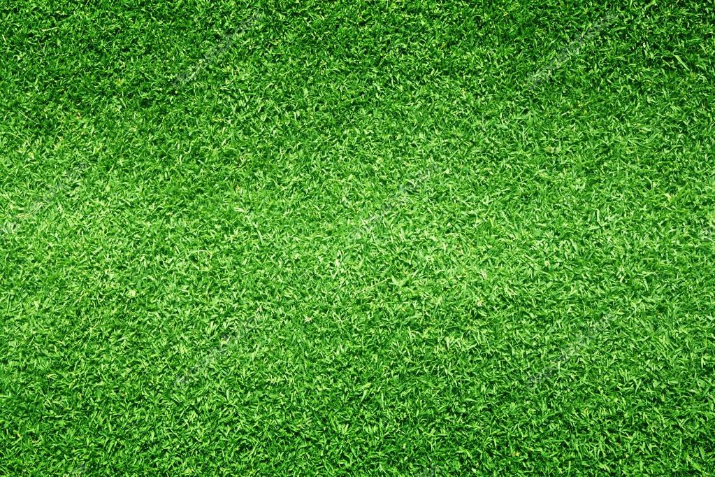 Grass background pattern
