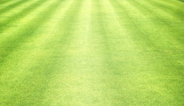 arka plan Golf sahaları yeşil çim çimen