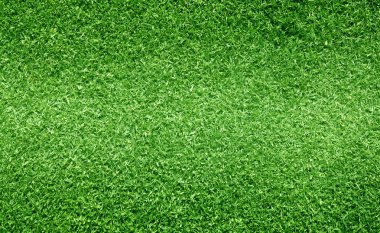 arka plan Golf sahaları yeşil çim çimen