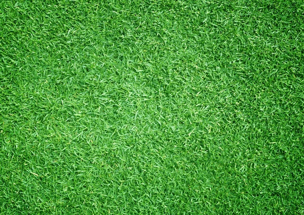 Hierba fondo Campos de golf césped verde —  Fotos de Stock