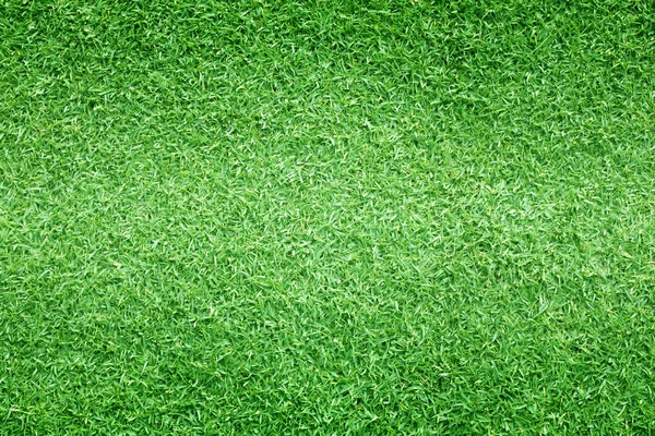 Χόρτο χλοοτάπητα Γηπέδων Γκόλφ πράσινο φόντο — Φωτογραφία Αρχείου