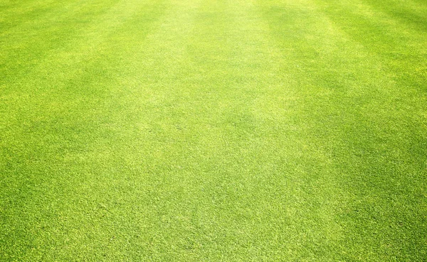 背景緑のゴルフ場の芝生を草します。 — ストック写真