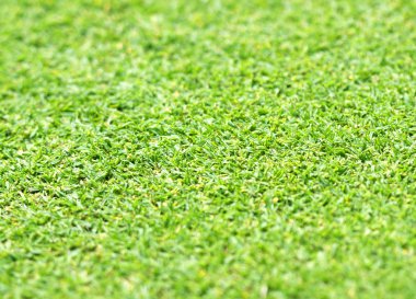 arka plan Golf sahaları yeşil çim çimen