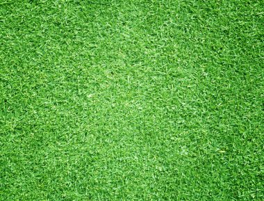arka plan Golf sahaları yeşil çim çimen