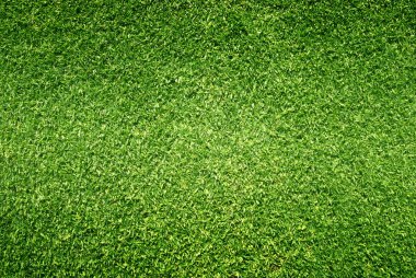 arka plan Golf sahaları yeşil çim çimen