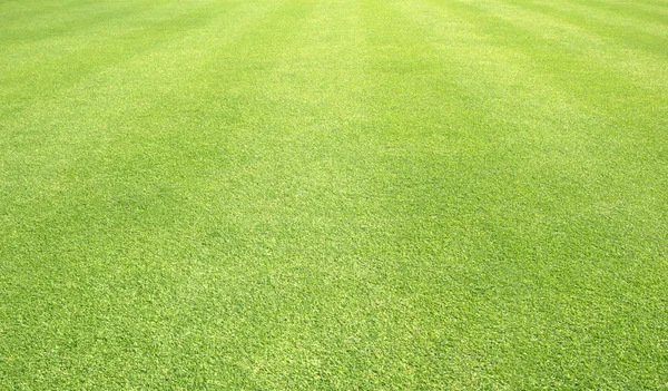 Gras Hintergrund Golfplätze grünen Rasen — Stockfoto