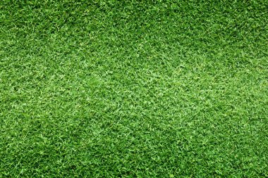 arka plan Golf sahaları yeşil çim çimen