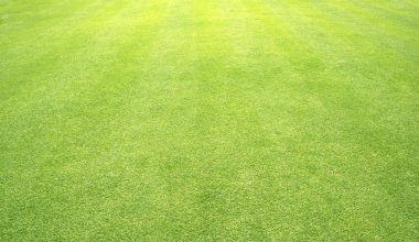 arka plan Golf sahaları yeşil çim çimen
