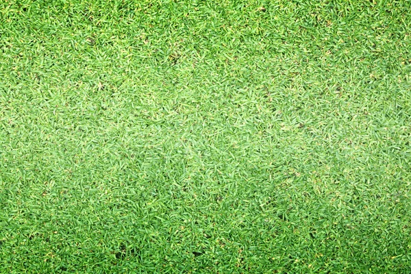 Gras Hintergrund Golfplätze grünen Rasen — Stockfoto