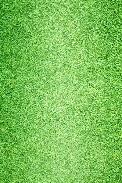 Trawa tło pola golfowe zielony trawnik — Zdjęcie stockowe