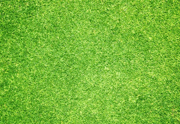 Sněhová vločka golfových hřišť zelený trávník — Stock fotografie