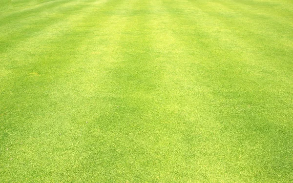 Mermer arka plan yüksek çözünürlüklü