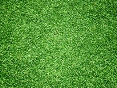 arka plan Golf sahaları yeşil çim çimen